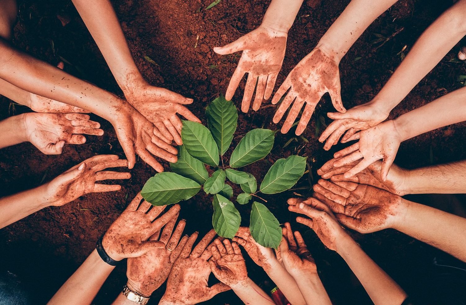 Community Mobilization in Crisis (CMIC)  | University of Ottawa